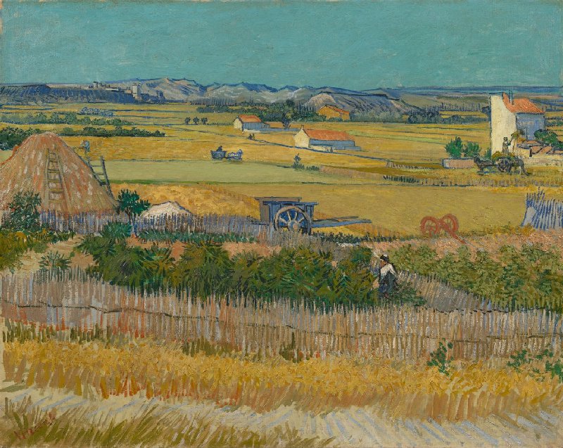 French Countryside Harvest Fields - Wall Art by Fir Gallery